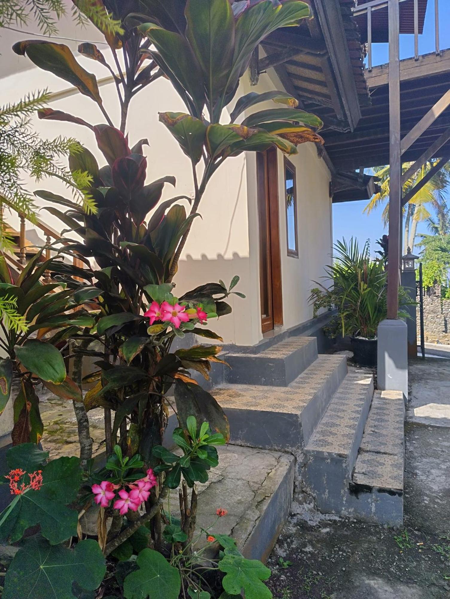 Kirra'S Beach House Pulukan Eksteriør bilde