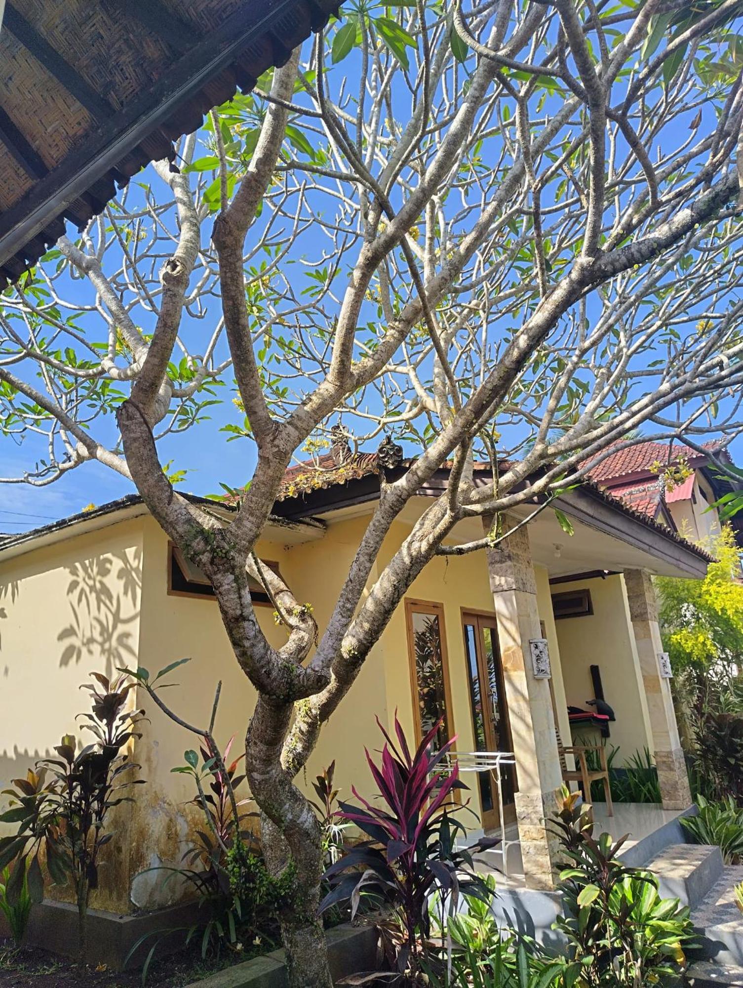 Kirra'S Beach House Pulukan Eksteriør bilde